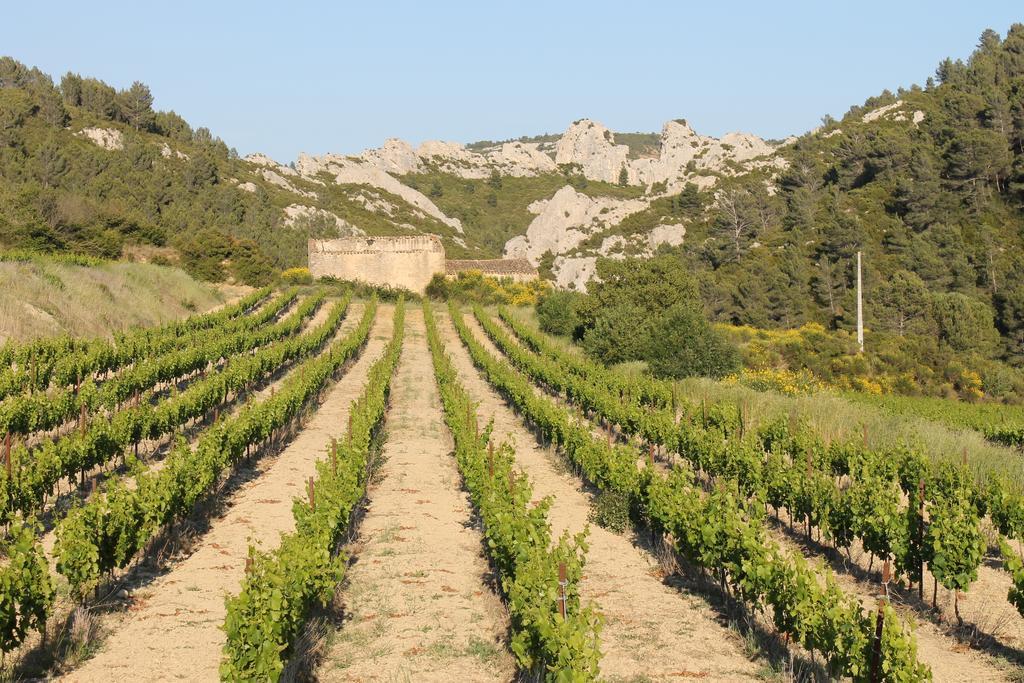 Вілла La Montagute Thezan-des-Corbieres Екстер'єр фото