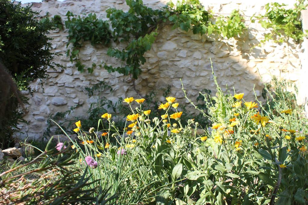 Вілла La Montagute Thezan-des-Corbieres Екстер'єр фото